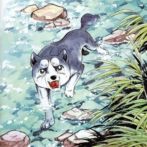 Meet your Posher, Johanna michelle